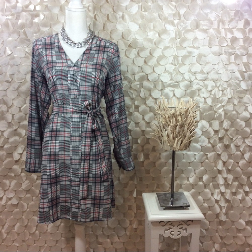 Express Sz. Med Plaid Long Sleeve Dress with Belt